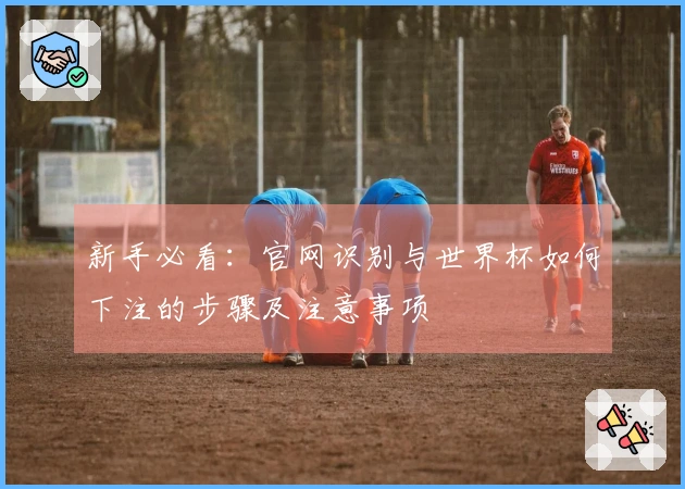 新手必看：官网识别与世界杯如何下注的步骤及注意事项