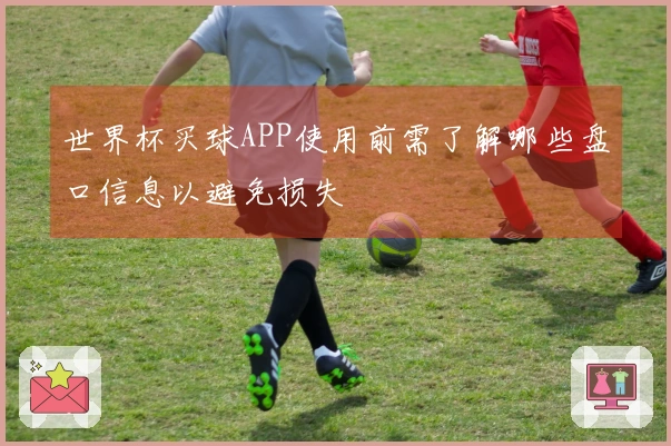 世界杯买球APP使用前需了解哪些盘口信息以避免损失