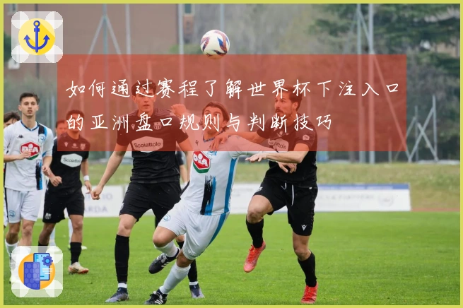 如何通过赛程了解世界杯下注入口的亚洲盘口规则与判断技巧