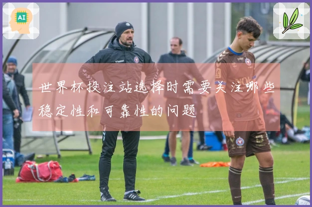 世界杯投注站选择时需要关注哪些稳定性和可靠性的问题