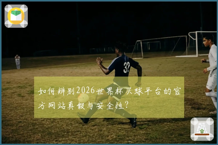如何辨别2026世界杯买球平台的官方网站真假与安全性？