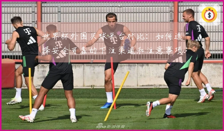 世界杯外围买球平台对比：如何选择安全可靠的下注渠道和注意事项