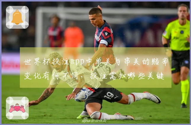 世界杯投注app中单关与串关的赔率变化有何不同，投注需知哪些关键点