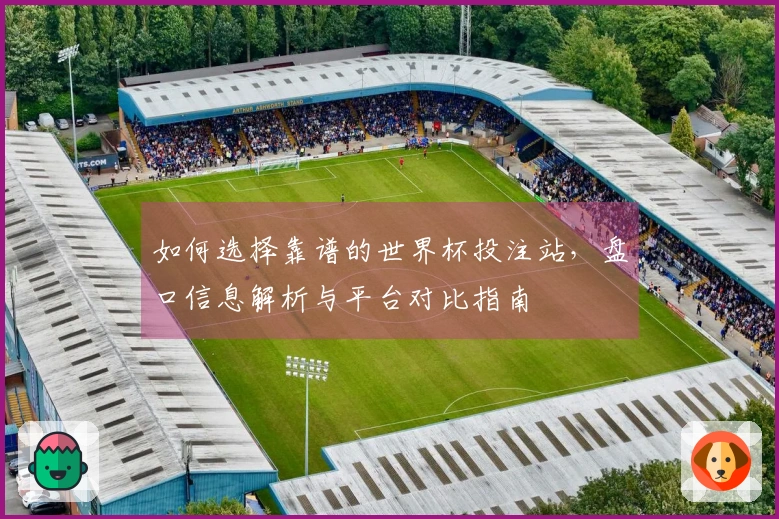 如何选择靠谱的世界杯投注站，盘口信息解析与平台对比指南