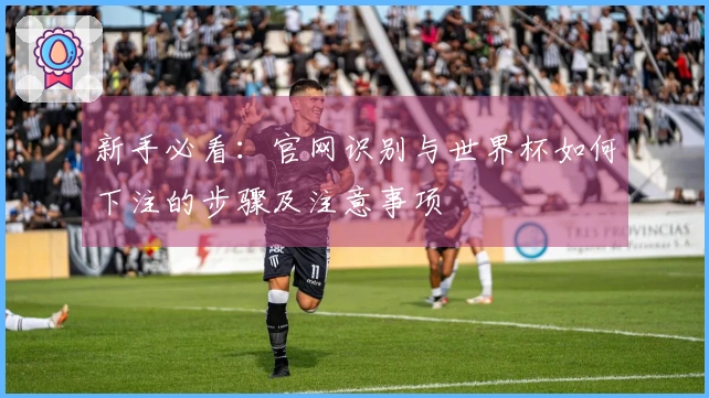 新手必看：官网识别与世界杯如何下注的步骤及注意事项