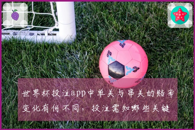 世界杯投注app中单关与串关的赔率变化有何不同，投注需知哪些关键点